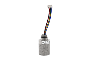 RG10 hydrogen sulfide gas sensor